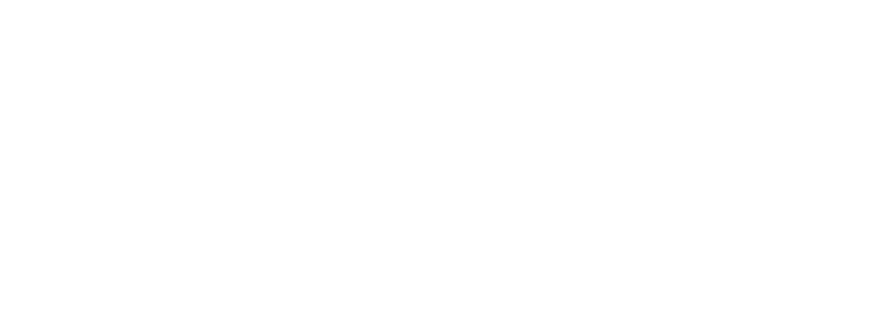 McIntyre Schnieders